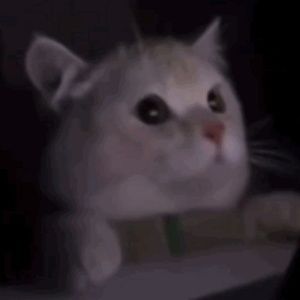 Meet your Posher, Andy